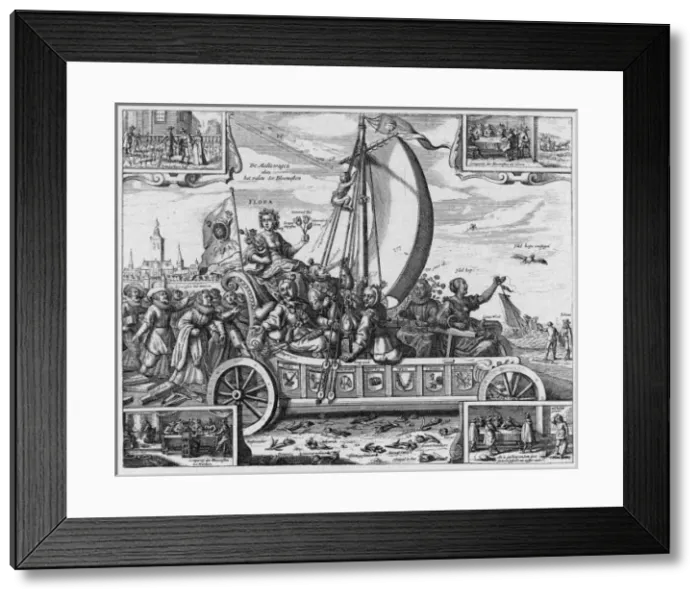 Framed Print : Dutch Tulipomania / 1637 Framed Print : Dutch Tulipomania / 1637