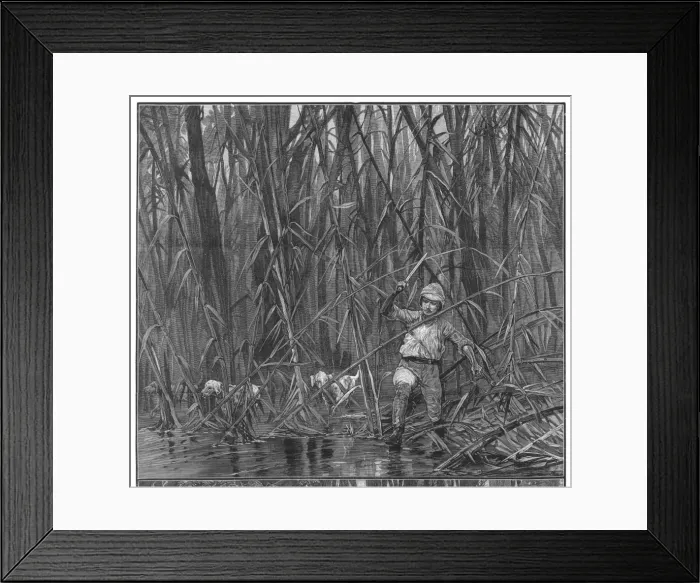 Framed Print : Exploring Bamboo Jungle Framed Print : Exploring Bamboo Jungle