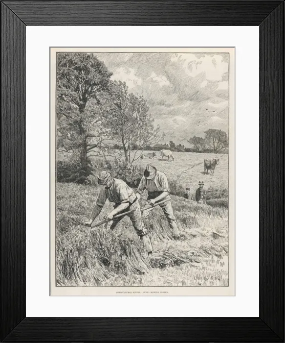 Framed Print : Mowing Clover Framed Print : Mowing Clover