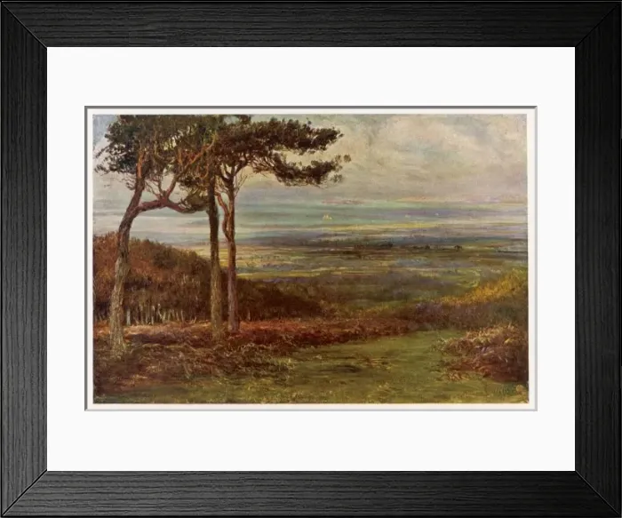 Framed Print : Wordsworth / Alfoxden Framed Print : Wordsworth / Alfoxden