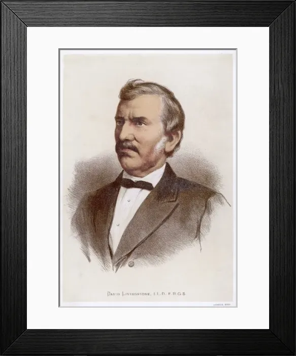 Framed Print : Livingstone (Anon)