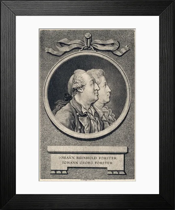 Framed Print : Johann & Georg Forster Framed Print : Johann & Georg Forster