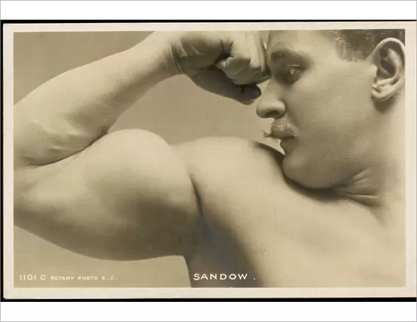 Eugen Sandow, Muscles