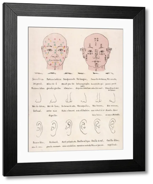 Framed Print : Chinese Physiology Syst Framed Print : Chinese Physiology Syst