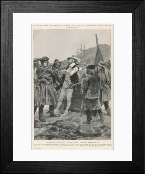 Framed Print : Newfoundland Established Framed Print : Newfoundland Established