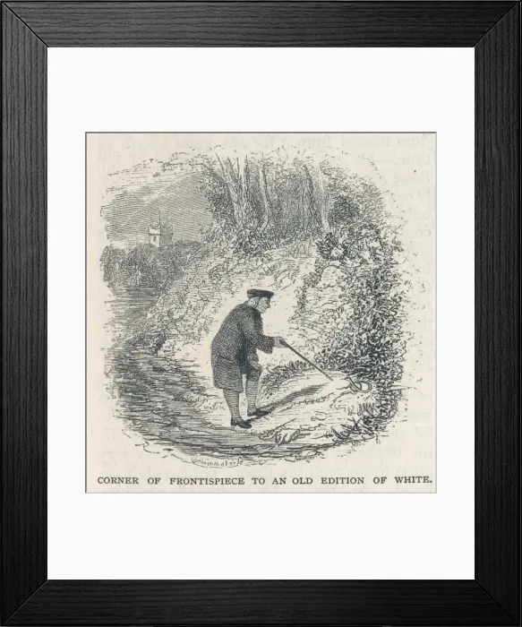 Framed Print : Gilbert White of Selborn Framed Print : Gilbert White of Selborn