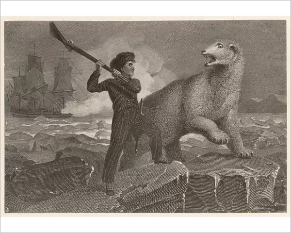 Lord Nelson  /  Polar Bear