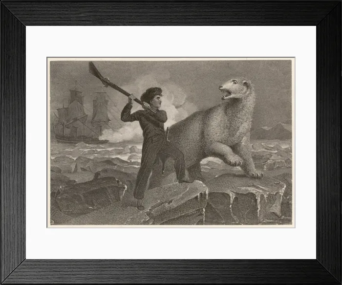 Framed Print : Lord Nelson / Polar Bear Framed Print : Lord Nelson / Polar Bear