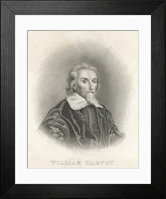 Framed Print : William Harvey / Thomson Framed Print : William Harvey / Thomson