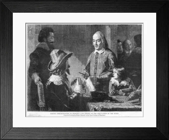 Framed Print : Harvey / Charles I / Hannah Framed Print : Harvey / Charles I / Hannah