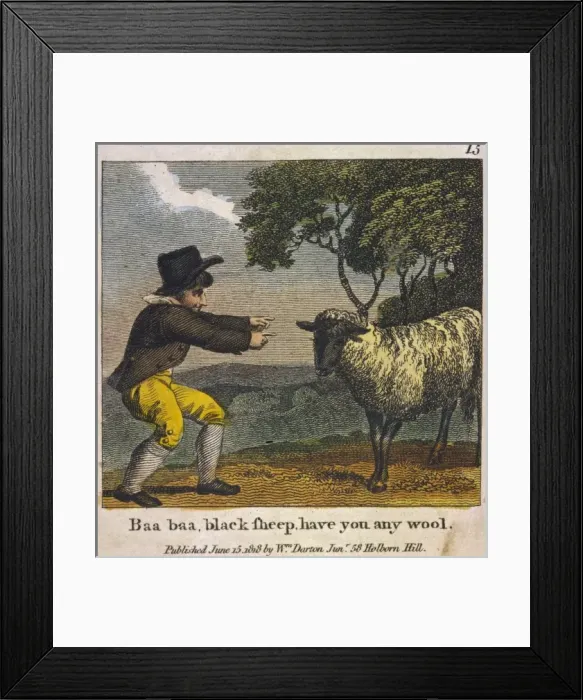 Framed Print : Baa Baa Black Sheep Framed Print : Baa Baa Black Sheep