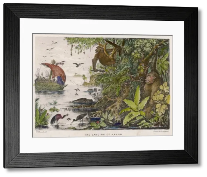 Framed Print : Hanno / Exploration Framed Print : Hanno / Exploration