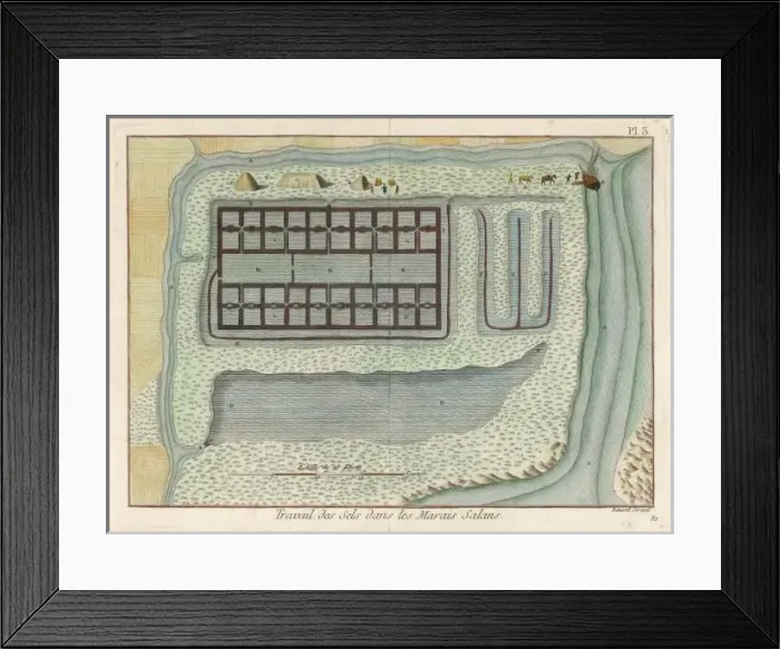 Framed Print : Salt Flats in France Framed Print : Salt Flats in France