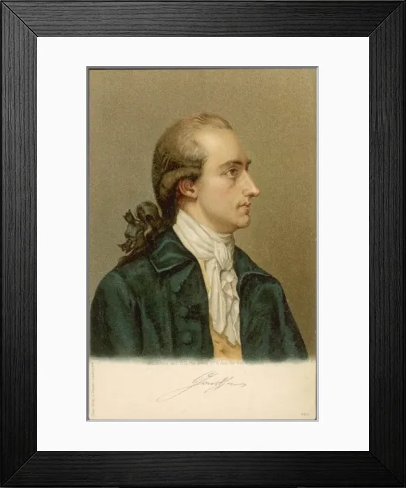 Framed Print : Goethe in Profile Framed Print : Goethe in Profile