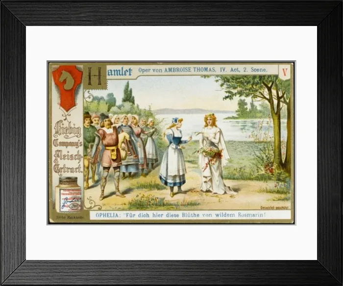 Framed Print : Thomas / Hamlet / Liebig 5 Framed Print : Thomas / Hamlet / Liebig 5