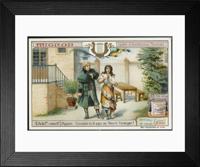 Framed Print : Thomas / Mignon / Liebig 2 Framed Print : Thomas / Mignon / Liebig 2