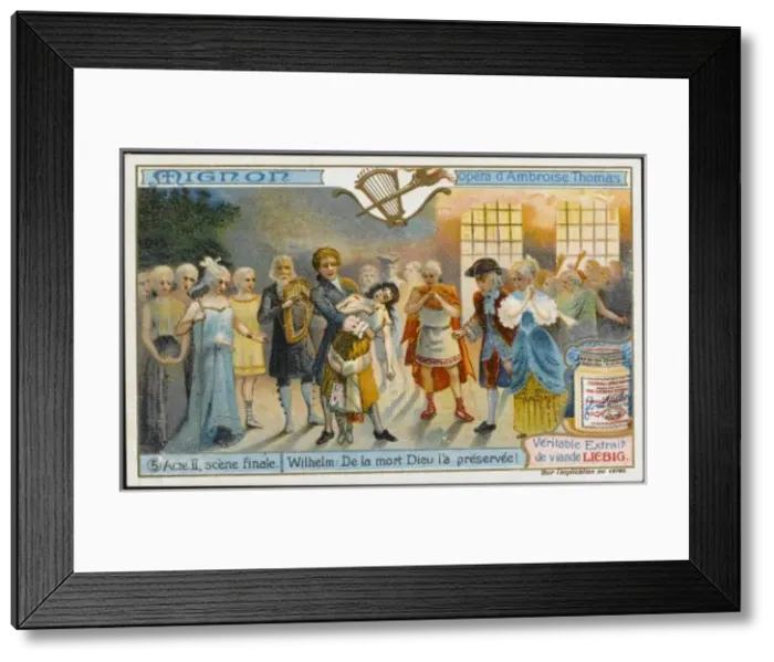 Framed Print : Thomas / Mignon / Liebig 5 Framed Print : Thomas / Mignon / Liebig 5