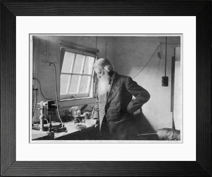 Framed Print : Swan in Laboratory Framed Print : Swan in Laboratory