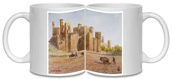 Spain  /  Olite Castle 1906