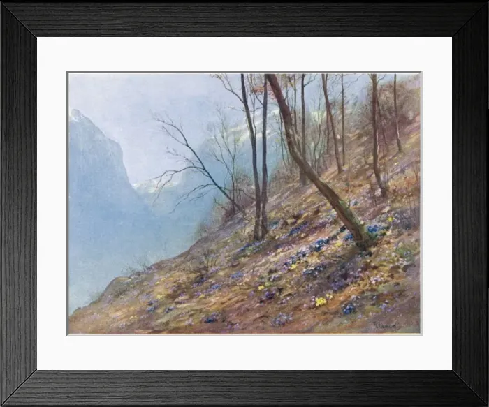 Framed Print : Swiss Alps / Bex 1910 Framed Print : Swiss Alps / Bex 1910