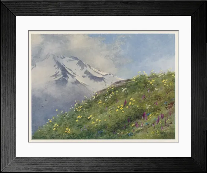 Framed Print : Swiss Alps / Col Forclaz Framed Print : Swiss Alps / Col Forclaz