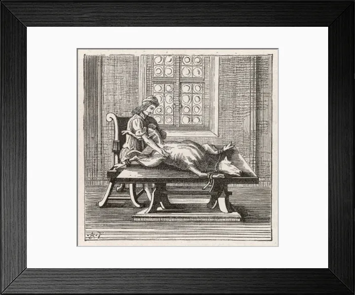 Framed Print : Blood Trans. Animal-Man Framed Print : Blood Trans. Animal-Man