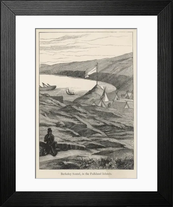 Framed Print : Falklands / Berkeley Sound Framed Print : Falklands / Berkeley Sound