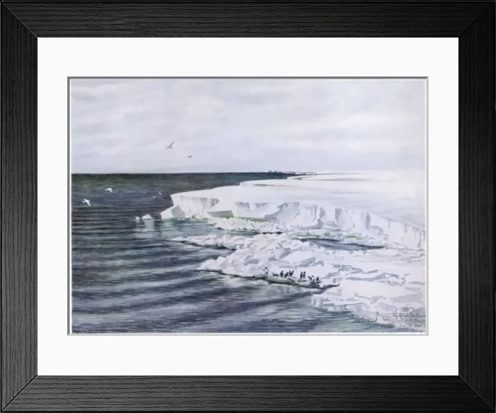 Framed Print : Antarctic / Cape Crozier Framed Print : Antarctic / Cape Crozier