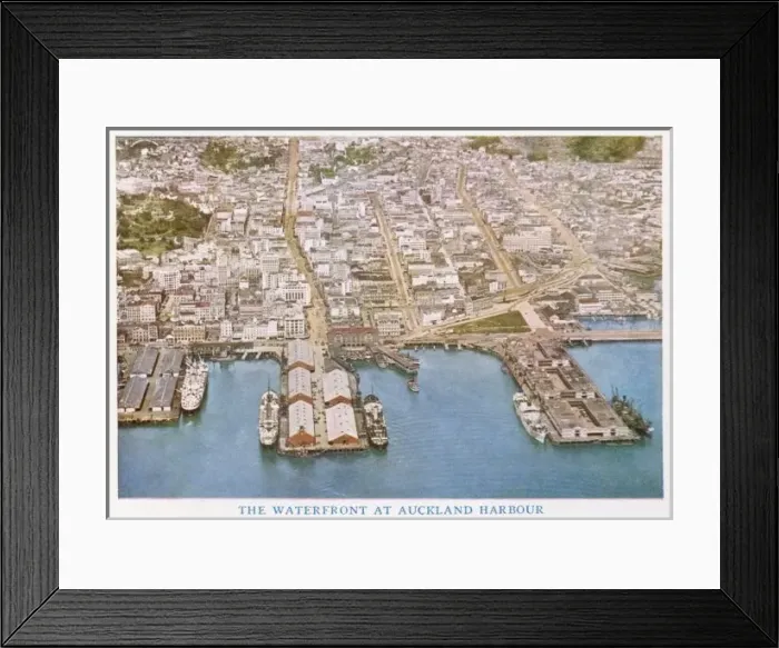 Framed Print : New Zealand  /  Auckland