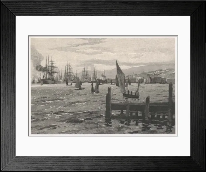 Framed Print : New Zealand / Wellington Framed Print : New Zealand / Wellington