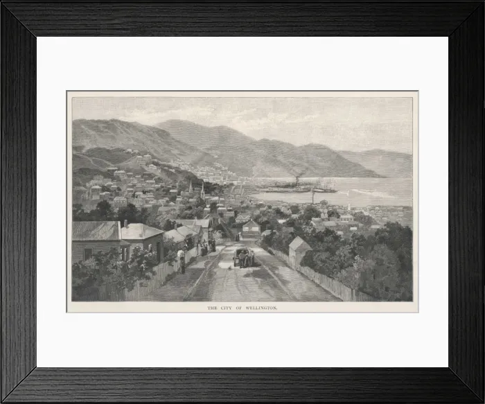 Framed Print : New Zealand / Wellington Framed Print : New Zealand / Wellington