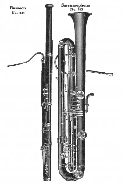 Bassoon & Sarrussophone