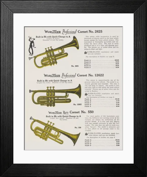 Framed Print : Cornets (Wurl) 2 Framed Print : Cornets (Wurl) 2