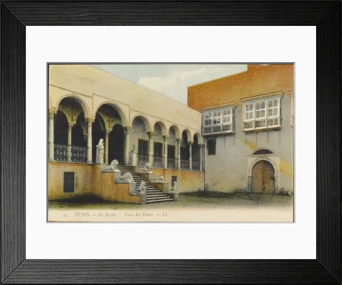 Framed Print : Tunisia / Tunis Lions Framed Print : Tunisia / Tunis Lions