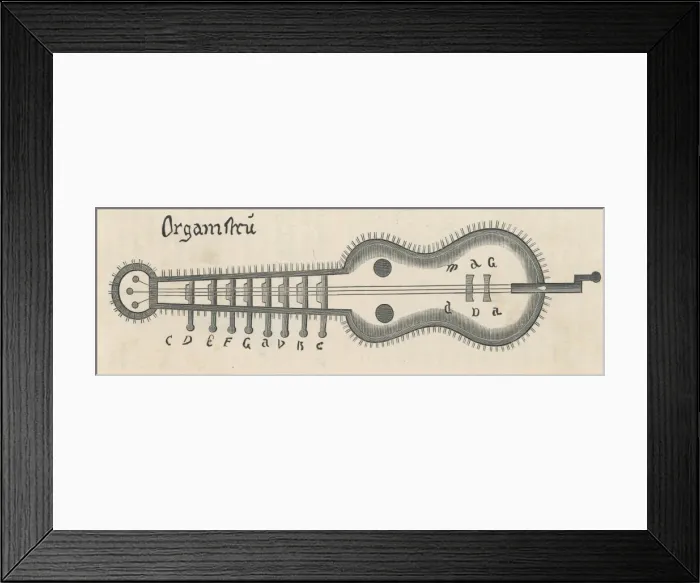 Framed Print : Organistrum Framed Print : Organistrum