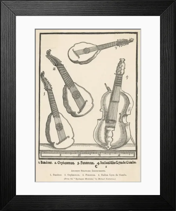 Framed Print : Ancient String Instrum Framed Print : Ancient String Instrum