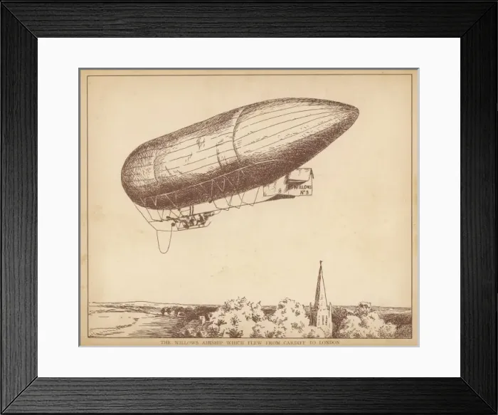 Framed Print : Willows Flight Framed Print : Willows Flight