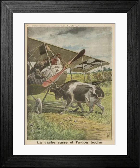 Framed Print : Plane Meets Cow Framed Print : Plane Meets Cow
