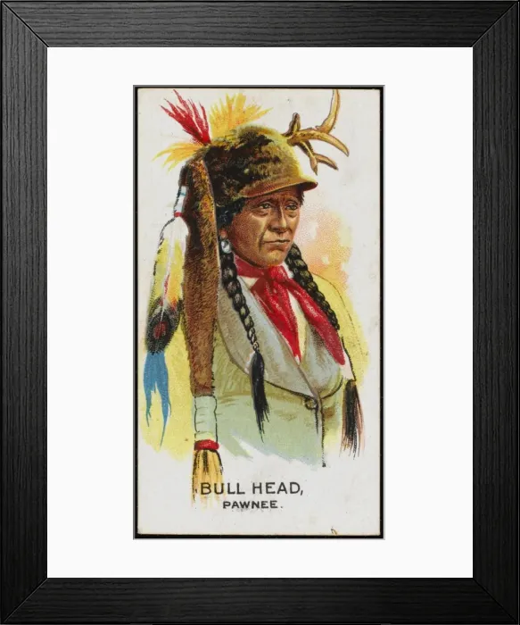 Framed Print : Racial / Bull Head / Pawnee Framed Print : Racial / Bull Head / Pawnee
