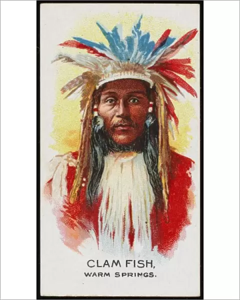 Racial  /  Clam Fish  /  Springs