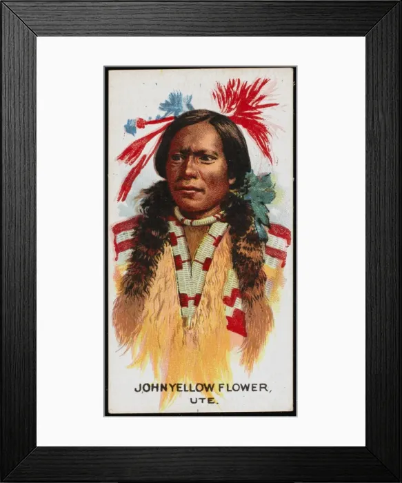 Framed Print : Racial / John Yellow Flowe Framed Print : Racial / John Yellow Flowe