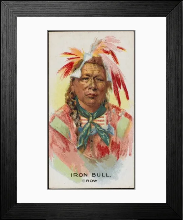 Framed Print : Racial / Iron Bull / Crow Framed Print : Racial / Iron Bull / Crow