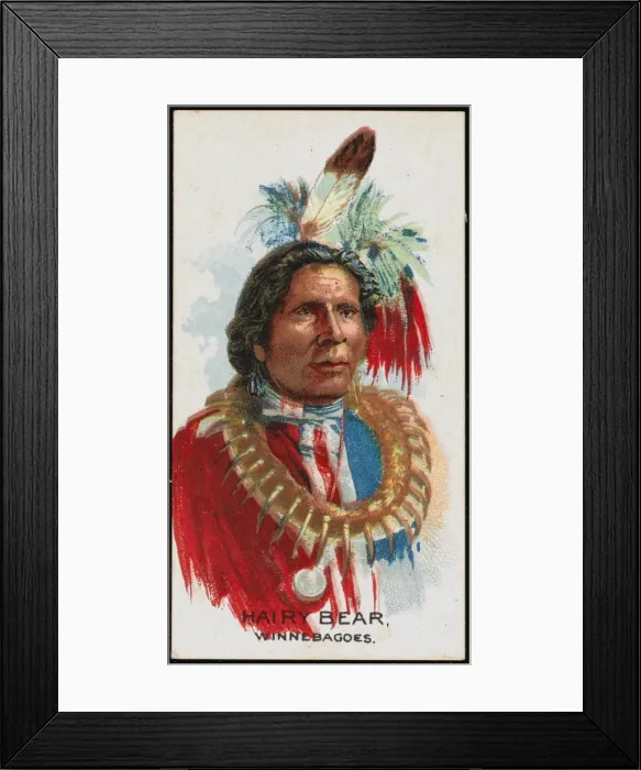 Framed Print : Racial / Hairy Bear / Winneb Framed Print : Racial / Hairy Bear / Winneb