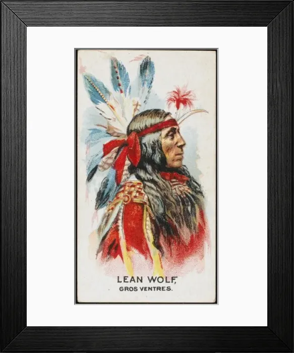 Framed Print : Racial / Lean Wolf / Ventres Framed Print : Racial / Lean Wolf / Ventres