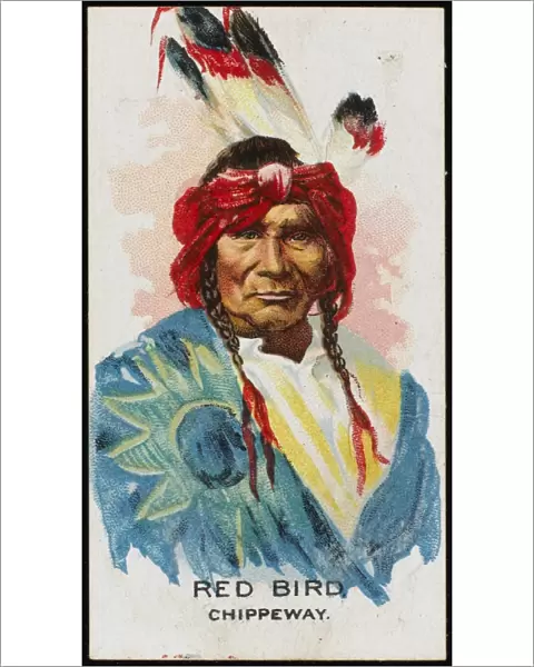 Racial  /  Red Bird  /  Chippewa