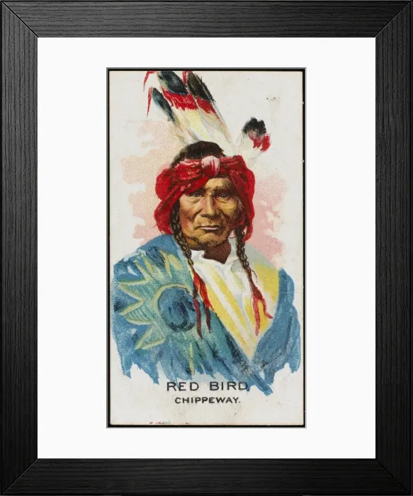 Framed Print : Racial / Red Bird / Chippewa Framed Print : Racial / Red Bird / Chippewa