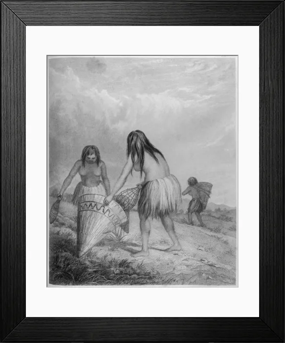 Framed Print : Gathering Grass Seed Framed Print : Gathering Grass Seed