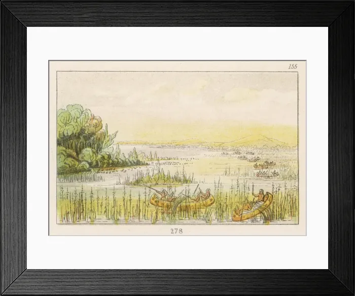 Framed Print : Racial / Wild Rice Gather Framed Print : Racial / Wild Rice Gather