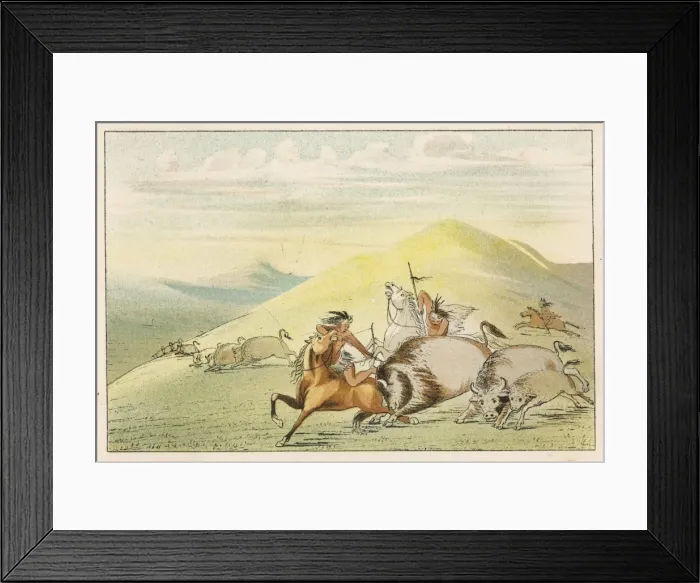 Framed Print : Racial / Hunting Buffalo Framed Print : Racial / Hunting Buffalo