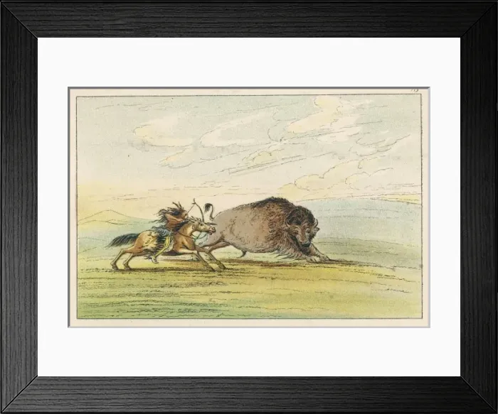 Framed Print : Racial / Hunting Buffalo Framed Print : Racial / Hunting Buffalo